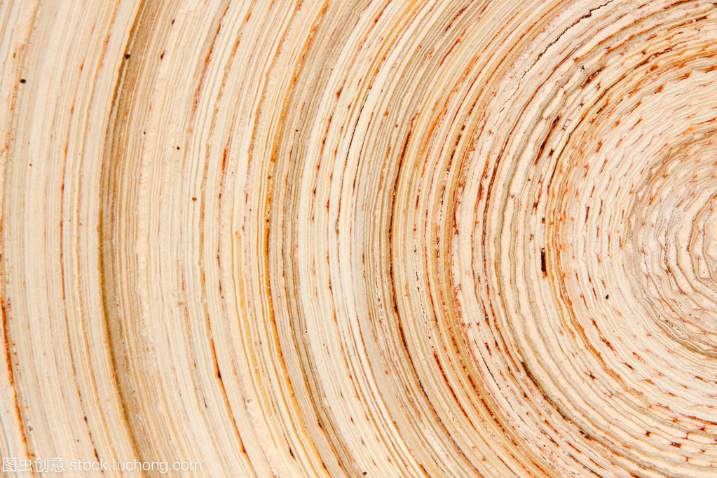 片的木材背景木板