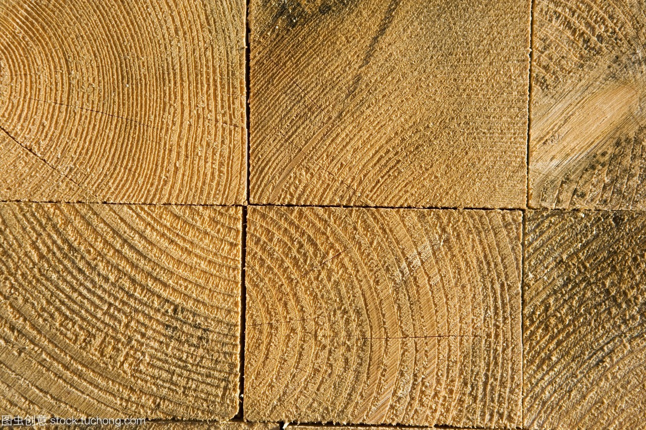 軟木材之美 木板的自然紋理與實用價值