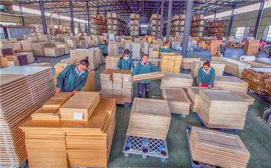 真心實意服務 真金白銀支持——埇橋區(qū)精準發(fā)力助推民營經(jīng)濟高質量發(fā)展之木材產(chǎn)業(yè)篇