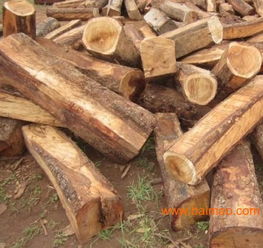 上海非洲黃花梨木材進(jìn)口報(bào)關(guān)代理服務(wù)全解析 廠家、流程與價(jià)格指南