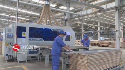 泗陽 積極引導(dǎo)加快轉(zhuǎn)型，推動(dòng)木材加工和家具制造業(yè)做大做強(qiáng)